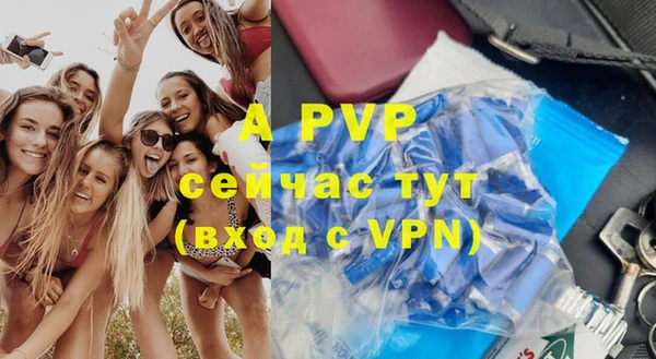 спиды Осташков