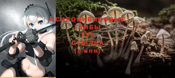 МДПВ Осинники