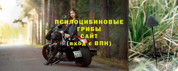 МДПВ Осинники