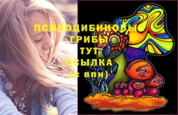 МДПВ Осинники