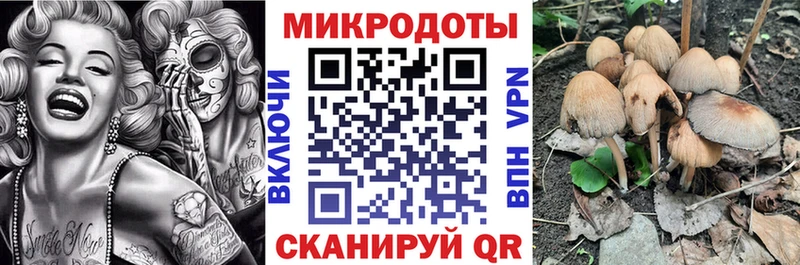Псилоцибиновые грибы Cubensis  Старый Крым 
